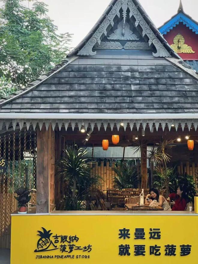 南省高质高效使用衔接资金推进乡村振兴见闻