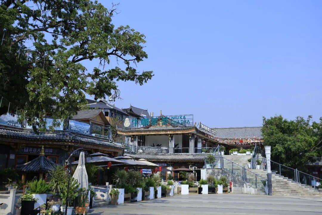 咖啡10杯有7杯是精品!不朽情缘平台云南小城产(图2) 咖啡10杯有7杯是精品!不朽情缘平台云南小城产(图2)