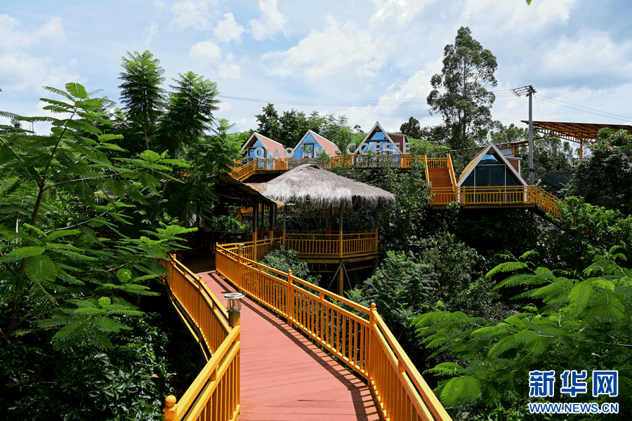 咖啡10杯有7杯是精品!不朽情缘平台云南小城产(图7) 咖啡10杯有7杯是精品!不朽情缘平台云南小城产(图7)