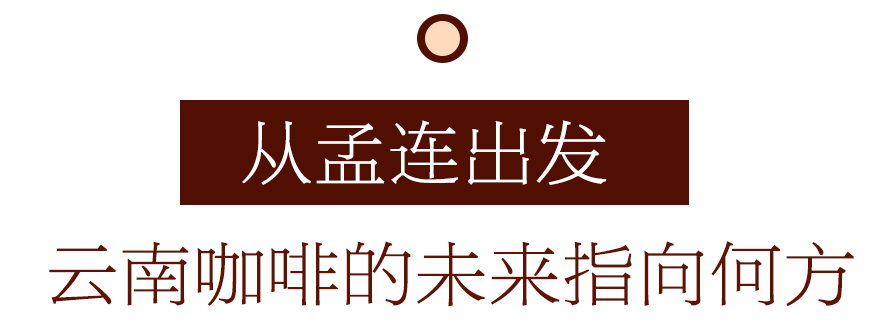 咖啡10杯有7杯是精品!不朽情缘平台云南小城产(图14) 咖啡10杯有7杯是精品!不朽情缘平台云南小城产(图14)