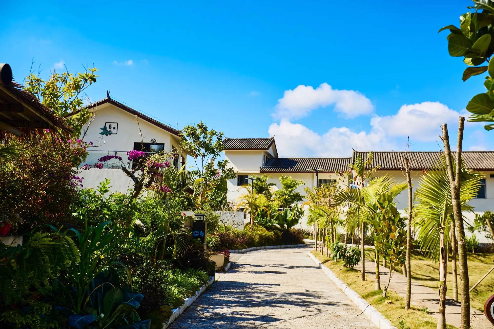 星村云南本土与现代技艺交融的咖啡文化生活不朽情缘平台登录入口普洱思茅南岛河村美丽(图2) 星村云南本土与现代技艺交融的咖啡文化生活不朽情缘平台登录入口普洱思茅南岛河村美丽(图2)