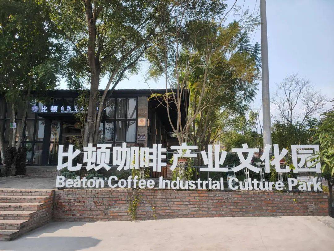 融合发展 推动特色产业兴旺MG不朽情缘隆阳：咖啡产业(图6)