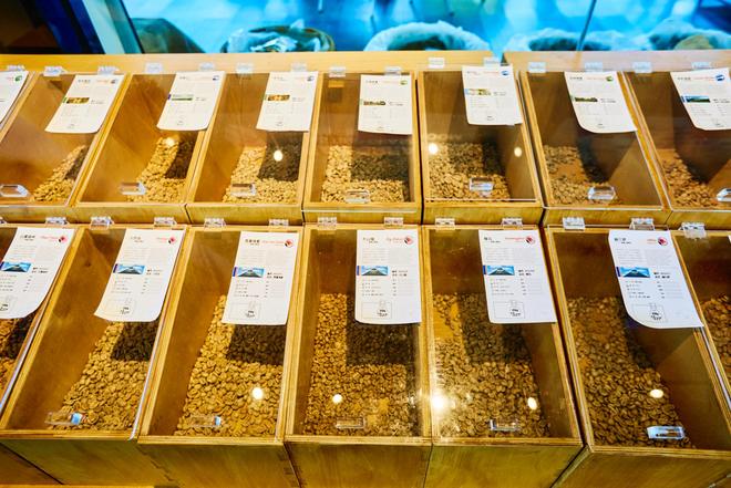 体验咖啡文化深入了解背后的文化故事不朽情缘游戏平台普洱北归咖啡庄园(图1)