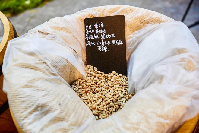 体验咖啡文化深入了解背后的文化故事不朽情缘游戏平台普洱北归咖啡庄园(图8)